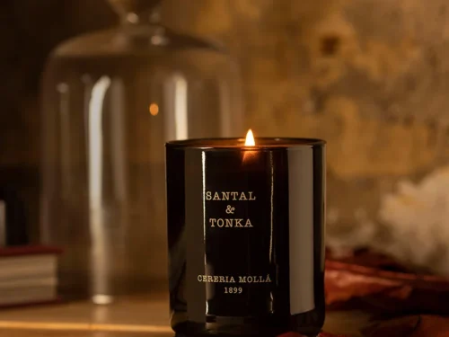 Alternative view of Cereria Molla Свещ Santal & Tonka